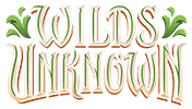 Lorcana Wilds Unknown Logo